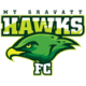 Mount Gravatt Hawks