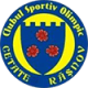 ACS Olimpic Cetate Rasnov