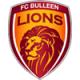Bulleen Lions