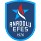 Anadolu Efes