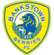 Canterbury Bankstown FC