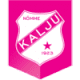 JK Nomme Kalju II