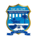 Bahir Dar Kenema FC